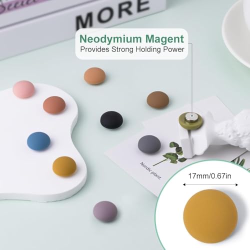 rhinocats 12Pcs Fridge Magnets,Locker Decor, Colorful Decorative Matte hemispheric Refrigerator Magnets, Cute Strong Whiteboard Magnets for Classroom Kitchen Office - Image 2