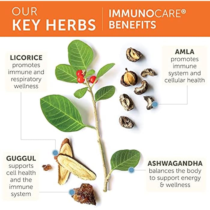 Himalaya ImmunoCare - Herbal Immune Support Supplement with Ashwagandha and Amla - Vegan, Non-GMO, Gluten Free, 840 mg, 120 Capsules - Image 4