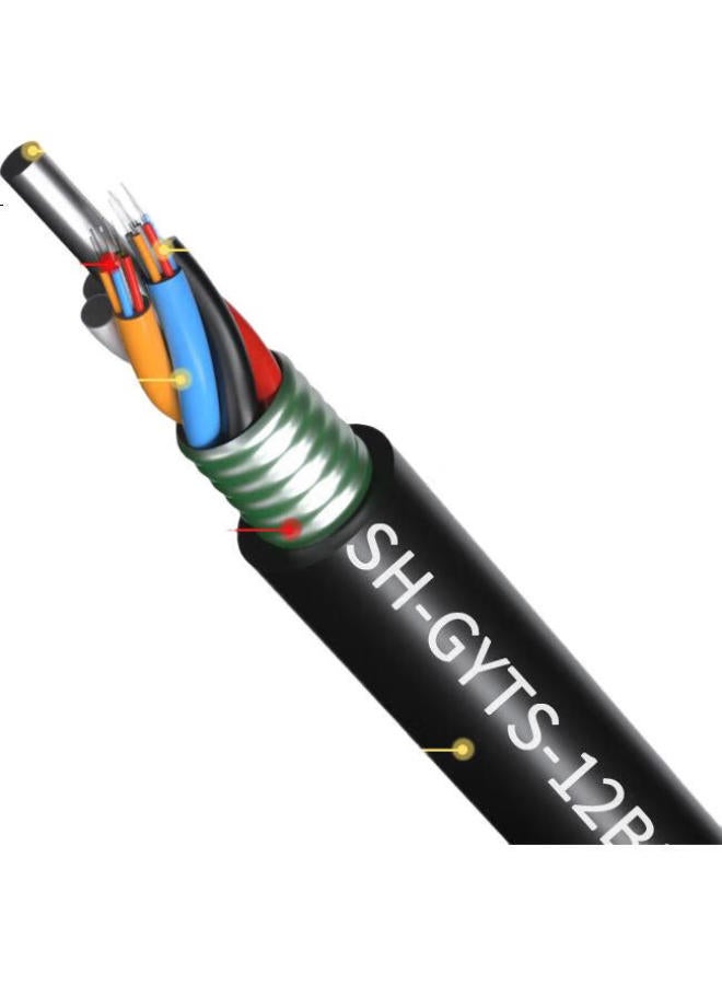 Suhao Gyts Outdoor Optical Cable, Telecom-Grade National Standard Optical Cable, 12-Core Optical Cable 1 Meter, Layer-Braided Single-Mode Armored Optical Cable, 12-Core Outdoor Fiber Optic Cable Gyts - Image 1