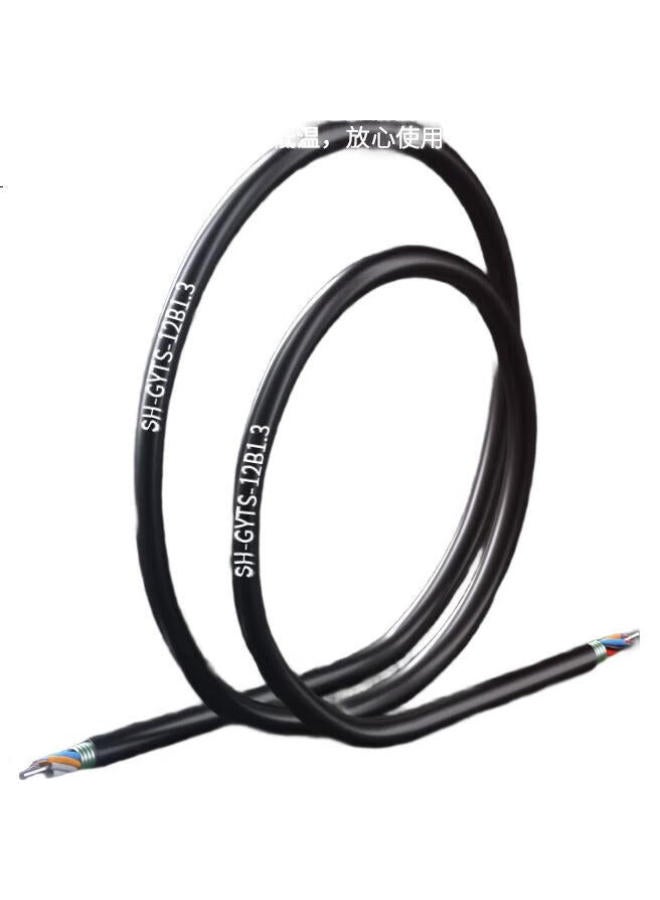 Suhao Gyts Outdoor Optical Cable, Telecom-Grade National Standard Optical Cable, 12-Core Optical Cable 1 Meter, Layer-Braided Single-Mode Armored Optical Cable, 12-Core Outdoor Fiber Optic Cable Gyts - Image 2