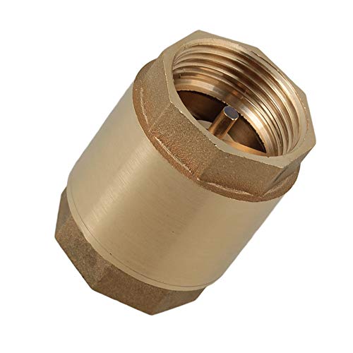 CNBTR Brass Female Male Spring Check Valve Vertical 1" BSPP Check Valve Hydraulic Control - Image 1