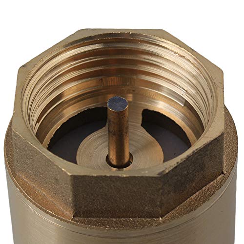 CNBTR Brass Female Male Spring Check Valve Vertical 1" BSPP Check Valve Hydraulic Control - Image 5