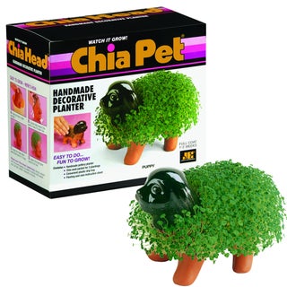 Chia Pet Puppy with Seed Pack Decorative Pottery Planter Easy to Do and Fun to Grow Novelty Gift Perfect for Any Occasion - pzsku/ZC4EED007D13F8A43CEE7Z/45/1749491070/b8aecc7d-9f7b-41d6-b918-9c33afa3056d