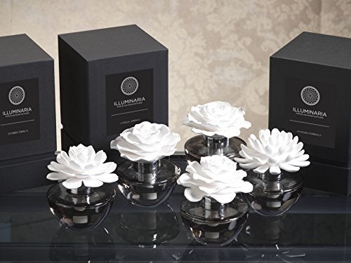 Zodax Illuminaria Porcelain Room Diffuser Gray Glass Bottle Tahitian Gardenia - Image 3