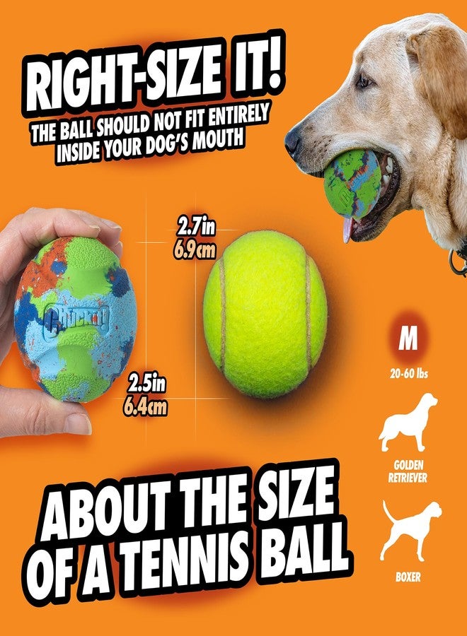 Chuckit! EcoFetch Fetch Ball Dog Toy, Medium (2.5 Inch Diameter) Pack of 1, for Breeds 20-60 lbs - Image 5