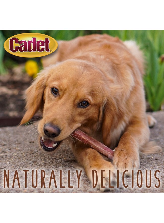 Cadet Bully Hide Sticks for Large Dogs - All-Natural Beef Pizzle, High Protein, Low Fat, Long-Lasting, Grain & Rawhide-Free Dog Chews for Aggressive Chewers, Large (1 Count) - Image 3