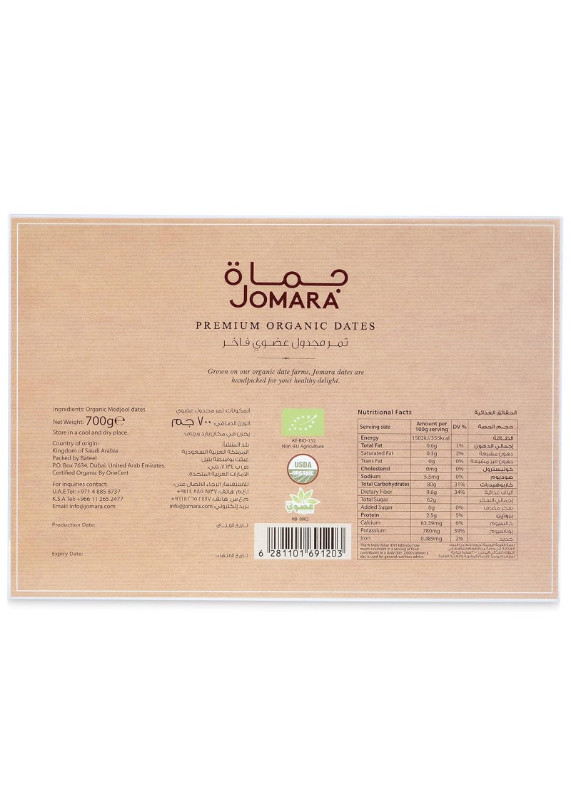 Jomara Medjool Dates Saudi Arabia - Image 2