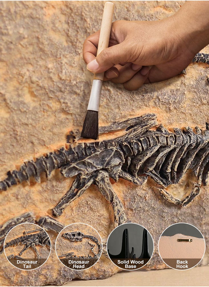 Perfii - Handcrafted Dinosaur Skeleton Model - Resin Fossils Sculpture with Realistic Details, High Durability, Low Maintainance and a Perfect Home or Office Decoration - Image 1