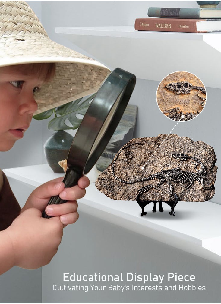 Perfii - Handcrafted Dinosaur Skeleton Model - Resin Fossils Sculpture with Realistic Details, High Durability, Low Maintainance and a Perfect Home or Office Decoration - Image 1