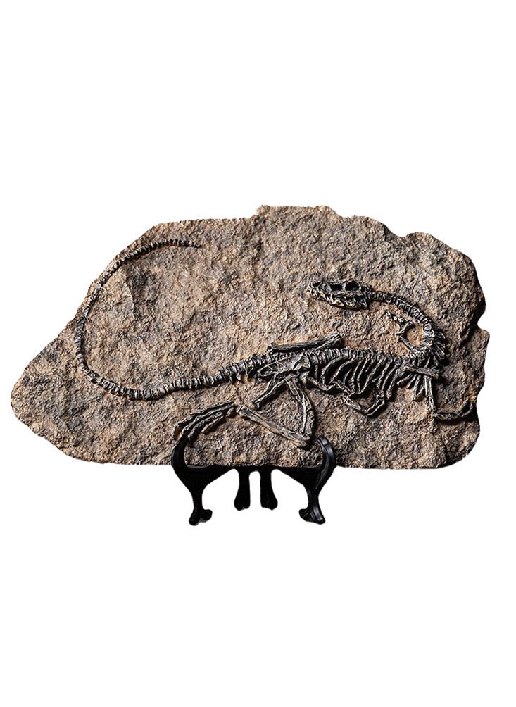 Perfii - Handcrafted Dinosaur Skeleton Model - Resin Fossils Sculpture with Realistic Details, High Durability, Low Maintainance and a Perfect Home or Office Decoration - Image 1