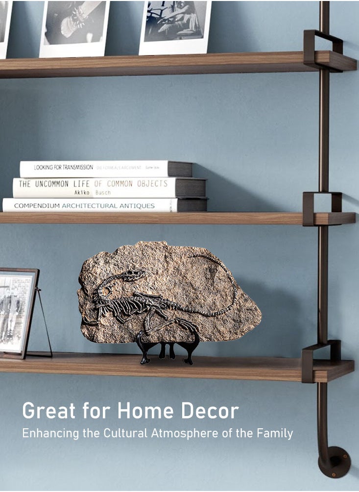 Perfii - Handcrafted Dinosaur Skeleton Model - Resin Fossils Sculpture with Realistic Details, High Durability, Low Maintainance and a Perfect Home or Office Decoration - Image 1