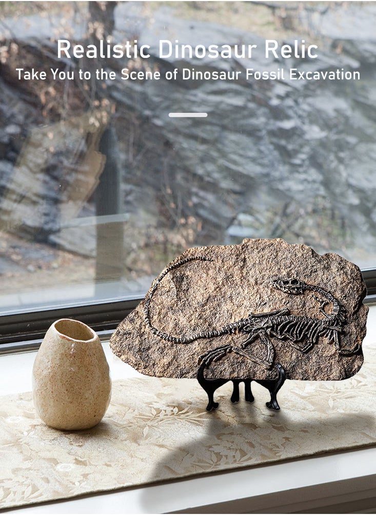 Perfii - Handcrafted Dinosaur Skeleton Model - Resin Fossils Sculpture with Realistic Details, High Durability, Low Maintainance and a Perfect Home or Office Decoration - Image 1