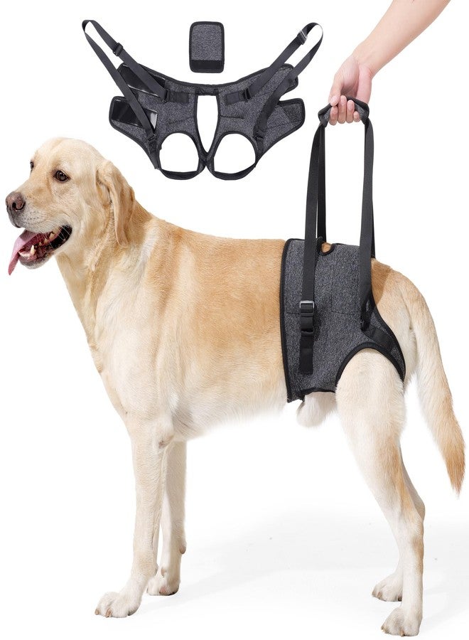 JOHNBOLIN Dog Lift Harness, Dog Sling with Padded, Hind Leg Support to Help Rehabilitate, Helps Senior, Injured, Disabled and After ACL Surgery Dogs (Dark Gray, Large) - Image 1