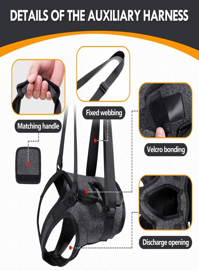JOHNBOLIN Dog Lift Harness, Dog Sling with Padded, Hind Leg Support to Help Rehabilitate, Helps Senior, Injured, Disabled and After ACL Surgery Dogs (Dark Gray, Large) - Image 2