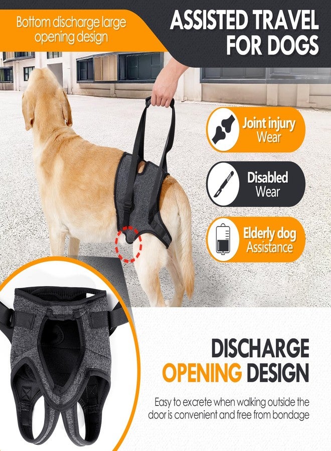 JOHNBOLIN Dog Lift Harness, Dog Sling with Padded, Hind Leg Support to Help Rehabilitate, Helps Senior, Injured, Disabled and After ACL Surgery Dogs (Dark Gray, Large) - Image 3
