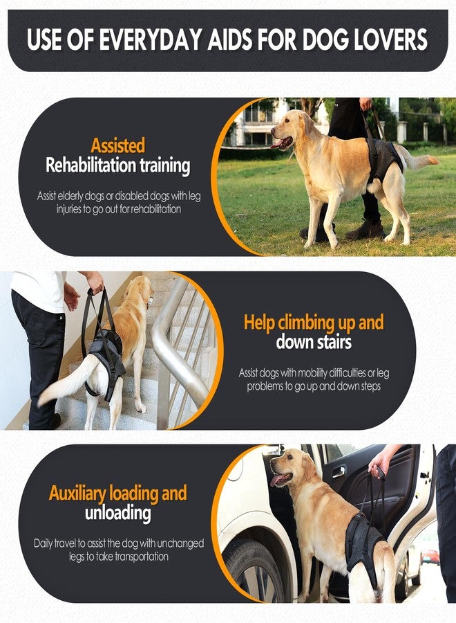 JOHNBOLIN Dog Lift Harness, Dog Sling with Padded, Hind Leg Support to Help Rehabilitate, Helps Senior, Injured, Disabled and After ACL Surgery Dogs (Dark Gray, Large) - Image 5
