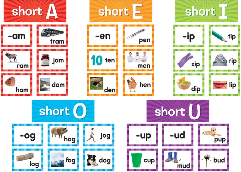 Teacher Short Vowels Pocket Chart Cards