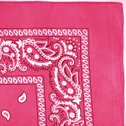 TZ Promise 12 Pack Bulk 100% Cotton Paisley Bandana Head Wrap Size 22 x 22 inches - Image 2