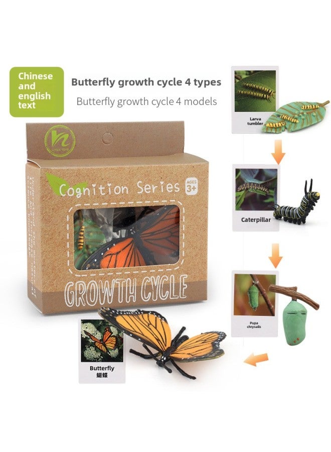 Realistic Simulation Animal Plant Models Toy Collection - Dinosaurs Dragons Unicorns Mermaids Sharks More-Color:PL127-2401 Butterfly Growth Cycle + Chinese Card + Color Box  - Image 1