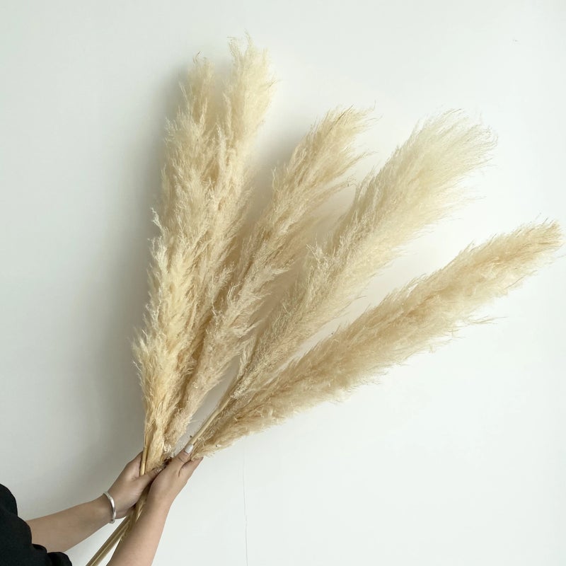 Bluejw Large Dried Pampas Grass - Most Popular Decorative Flowers for Home Decor, Natural Dried Plants - Image 3