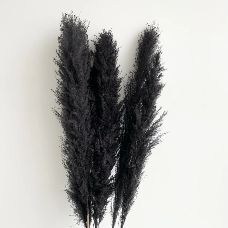 Bluejw Large Dried Pampas Grass - Most Popular Decorative Flowers for Home Decor, Natural Dried Plants - Image 1