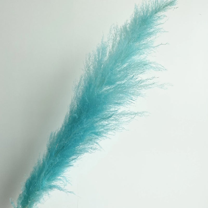 Bluejw Large Dried Pampas Grass - Most Popular Decorative Flowers for Home Decor, Natural Dried Plants - Image 2