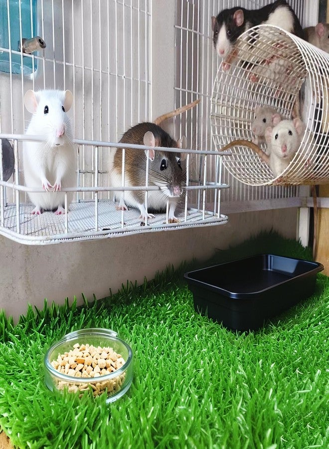 JSLZF Rat Bed, Cage Platform Accessories, Metal Ferret Hammock with Mat, Chew Proof Hanging Squirrel Ledge, Small Animal Habitat for Hamster, Sugar Glider, Blue - Image 2