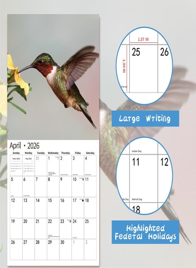 windrio 2026 Wall Calendar,Calendar 2026, November 2025 - December 2026, Wall Calendar Hummingbird, 12" x 24" Opened,Full Page Months Thick & Sturdy Paper for Calendar Organizing & Planning - Image 3