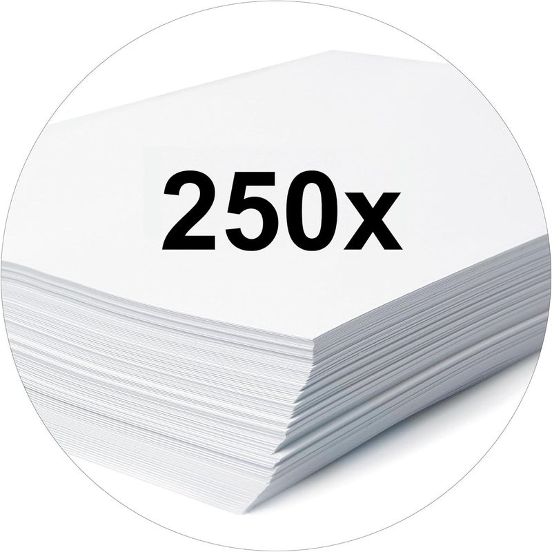 FALKEN Exacompta - Ref 80000458002F - FALKEN - Flat Cardboard Files - A4 (210 x 297mm) in Size, 250gsm Recycled Manilla, Pre-Printed Cover, Blue Angel Certified - Cream (Pack of 100) - Image 4