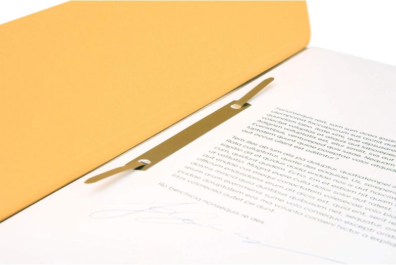 FALKEN Exacompta - Ref 80000458002F - FALKEN - Flat Cardboard Files - A4 (210 x 297mm) in Size, 250gsm Recycled Manilla, Pre-Printed Cover, Blue Angel Certified - Cream (Pack of 100) - Image 5