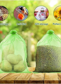 KNP KNP 65x95 cm dates cover pack of 50 is typically used to protect dates or similar fruits from dust, pests, and environmental factors that could affect their quality.  - Image 3