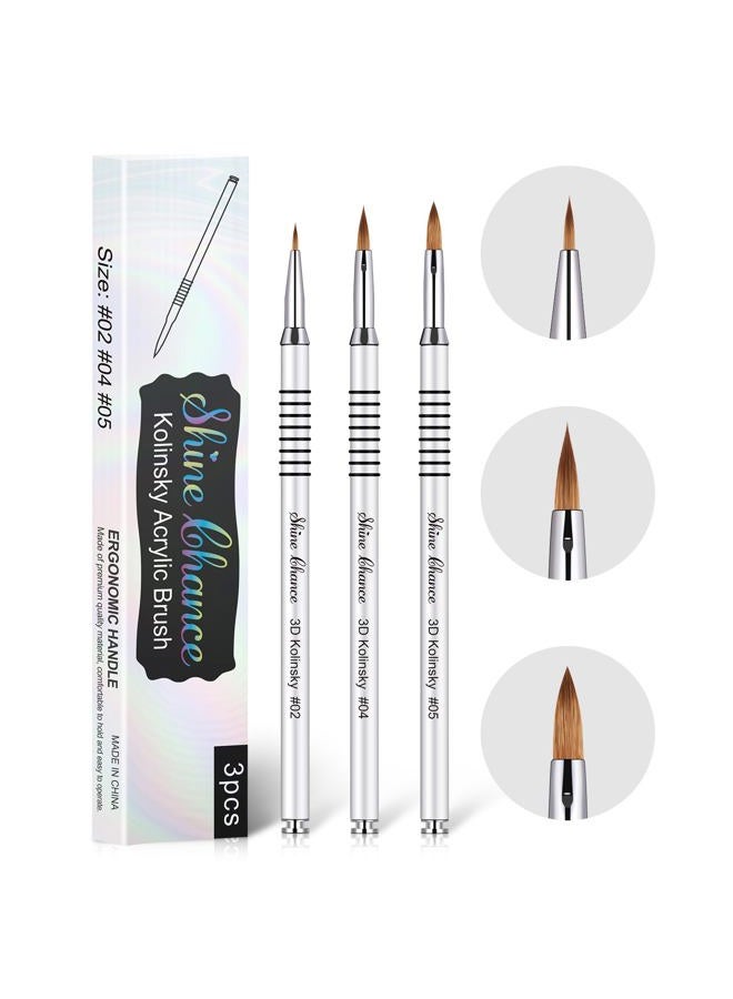 Shine Chance 3Pcs Acrylic Nail Brushes Set Size 2 4 5, Kolinsky Hair Acrylic Nail Art Brush, Art Design & Polish Mistake Cleaning Manicure Tools for Women Acrylic Application, Silver - Image 1