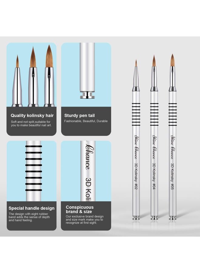Shine Chance 3Pcs Acrylic Nail Brushes Set Size 2 4 5, Kolinsky Hair Acrylic Nail Art Brush, Art Design & Polish Mistake Cleaning Manicure Tools for Women Acrylic Application, Silver - Image 4