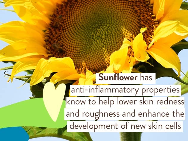 Babo Botanicals Sheer Mineral Sunscreen Lotion SPF 50 - Natural Zinc Oxide - Extra Sensitive Skin - Lightweight - Water Resistant - Fragrance-Free - EWG Verified- Sheer application - Image 3