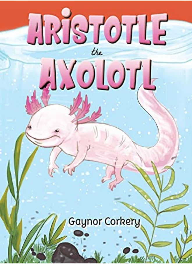 null - Aristotle the Axolotl - Image 1