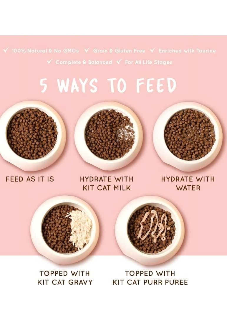 Kit Cat طعام جاف للقطط بدون حبوب مع التونة والسلمون 1 كجم - Image 4