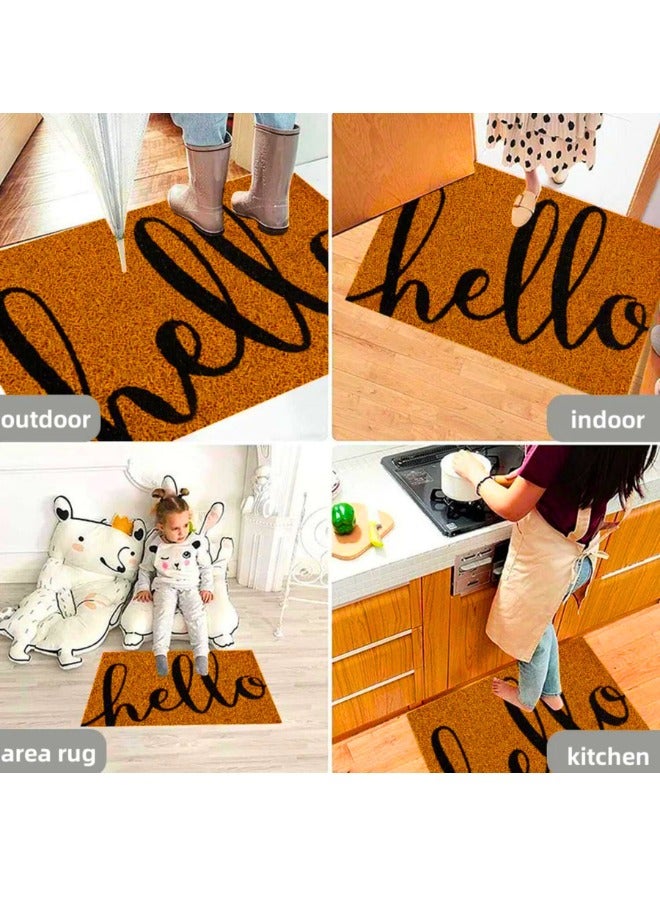 تشيس اب سجادة خارجية ذات دعم متين، سجادة ترحيب طبيعية للمدخل، الشرفة الأمامية، سجادة مدخل سهلة التنظيف، للاستخدام الخارجي والداخلي، ديكور منزلي (مرحبًا، 45 × 75 سم) - Image 2