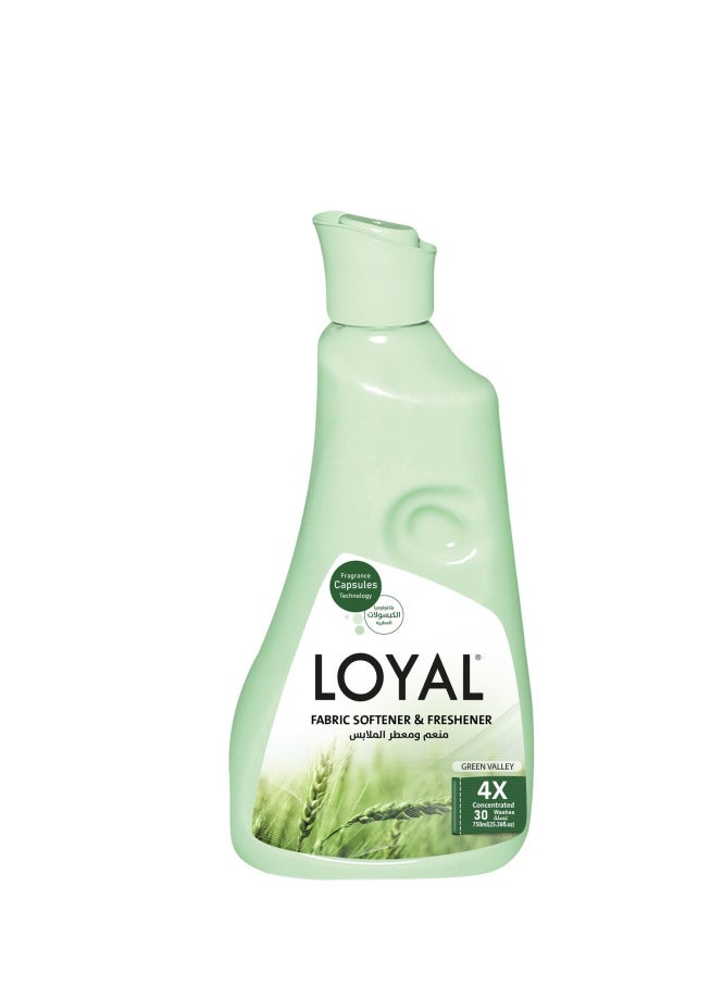 لويال منعم ومعطر الأقمشة المركز من لويال، جرين فالي، 30 غسلة 750 مل