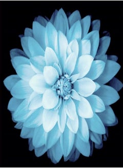 Extraordinary Flowers/Long Flowering Period/Dahlia Seeds/Perennial Plants/Can be Planted All Year round-90 PCS,d