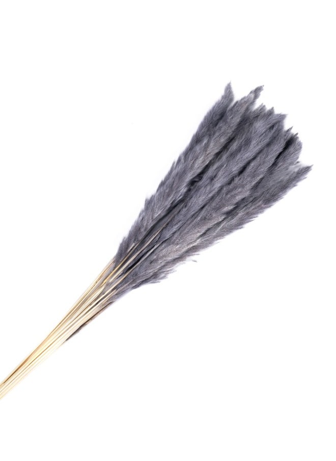 Gulf Flowers Gulf Flowers Pampas Grass Décor –  Natural Dried Pampas Grass for Flower  Arrangement Home Office Room Boho Table Living Room Décor 