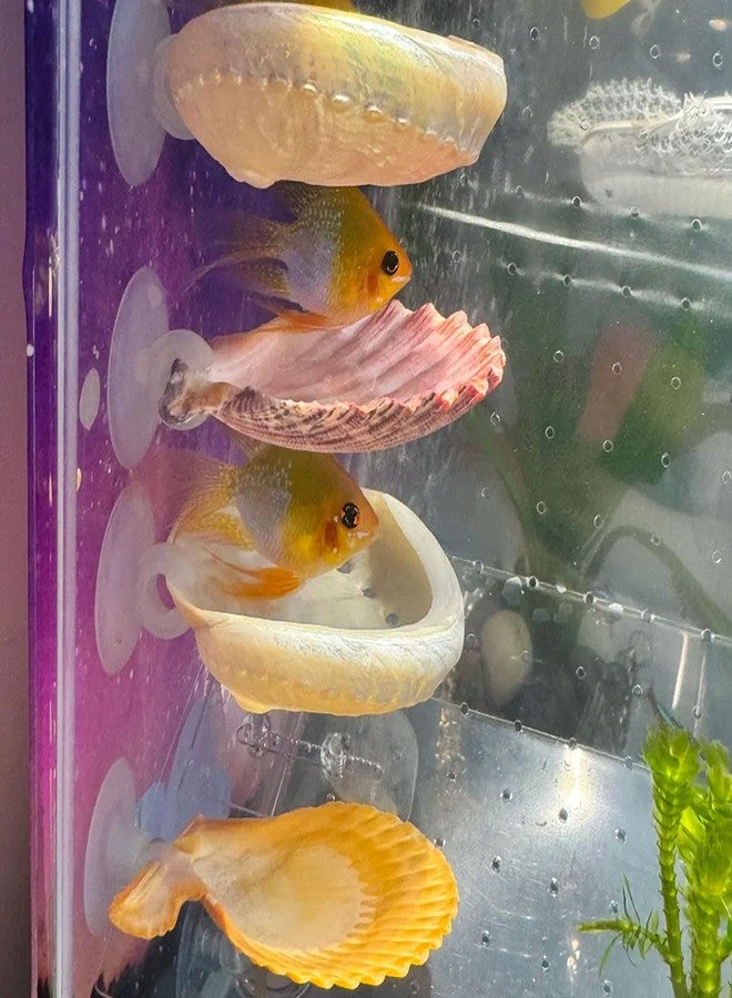 Oncpcare Betta Fish Resting Spot Shell Bed 4-Pack - Natural Habitat Style Hideout for Breeding, Spawning & Resting Betta Fish - Image 1