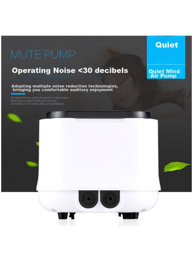 Grech Oxygen Pump, Quiet Home Oxygen Concentrator, Air Pump, 10w High Air Flow, Cq-1000 Model With Accessories - Image 2