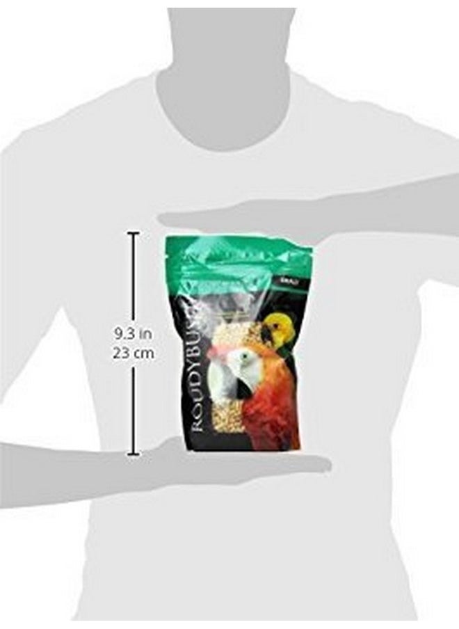 Roudybush Daily Maintenance Bird Food, Small, 22-Ounce - pzsku/ZC505CB6C422A7407A8EAZ/45/_/1737031677/d81296a4-05a5-4b06-9102-dfe304658793