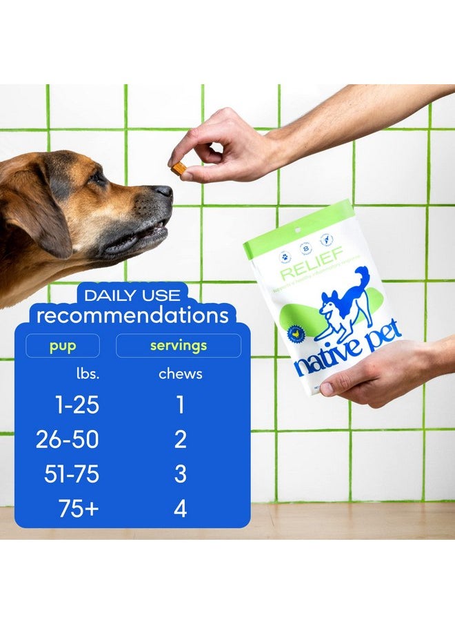 native pet - Native Pet Relief Chews - Anti Inflammatory for Dogs - Turmeric + Polyphenols + Green Lipped Mussels for Dogs - Natural Relief for Dogs - Dog Arthritis Supplement & Dog Joint Pain Relief - 30 Chews - Image 1