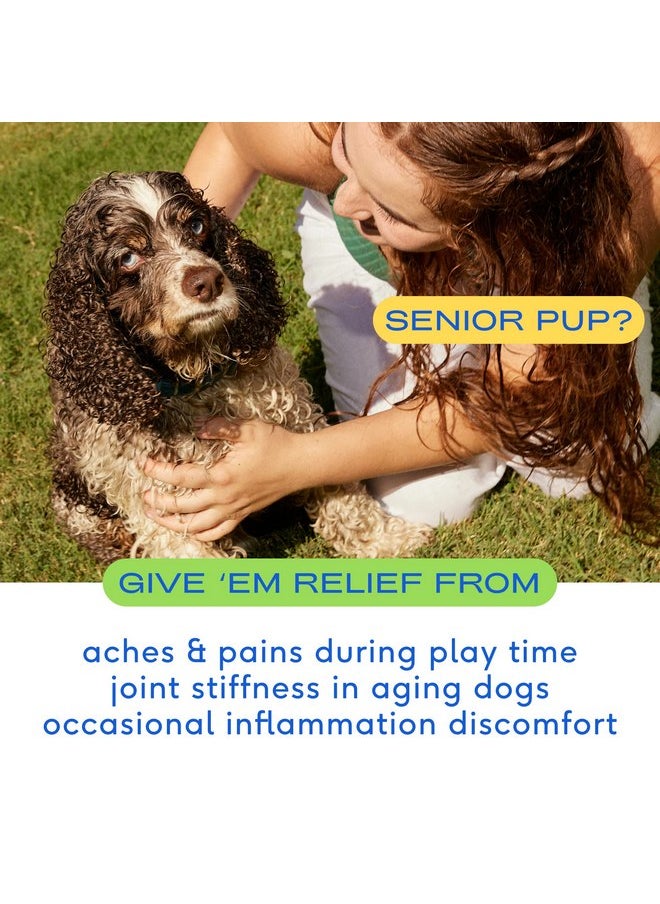 native pet - Native Pet Relief Chews - Anti Inflammatory for Dogs - Turmeric + Polyphenols + Green Lipped Mussels for Dogs - Natural Relief for Dogs - Dog Arthritis Supplement & Dog Joint Pain Relief - 30 Chews - Image 1