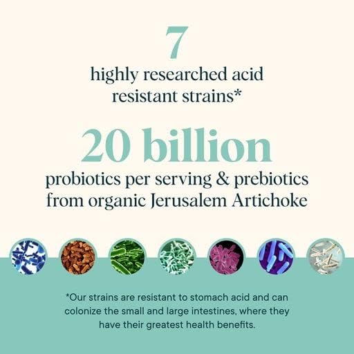 Ora Organic مكمل مسحوق أورا العضوي للبريبايوتيك والبروبايوتيك 20 مليار بروبايوتيك 7 سلالات لأفضل مسحوق بريبايوتيك بروبايوتيك غير معدلة وراثيًا للنساء والرجال والأطفال بنكهة التفاح والتوت 30 حصة - Image 4