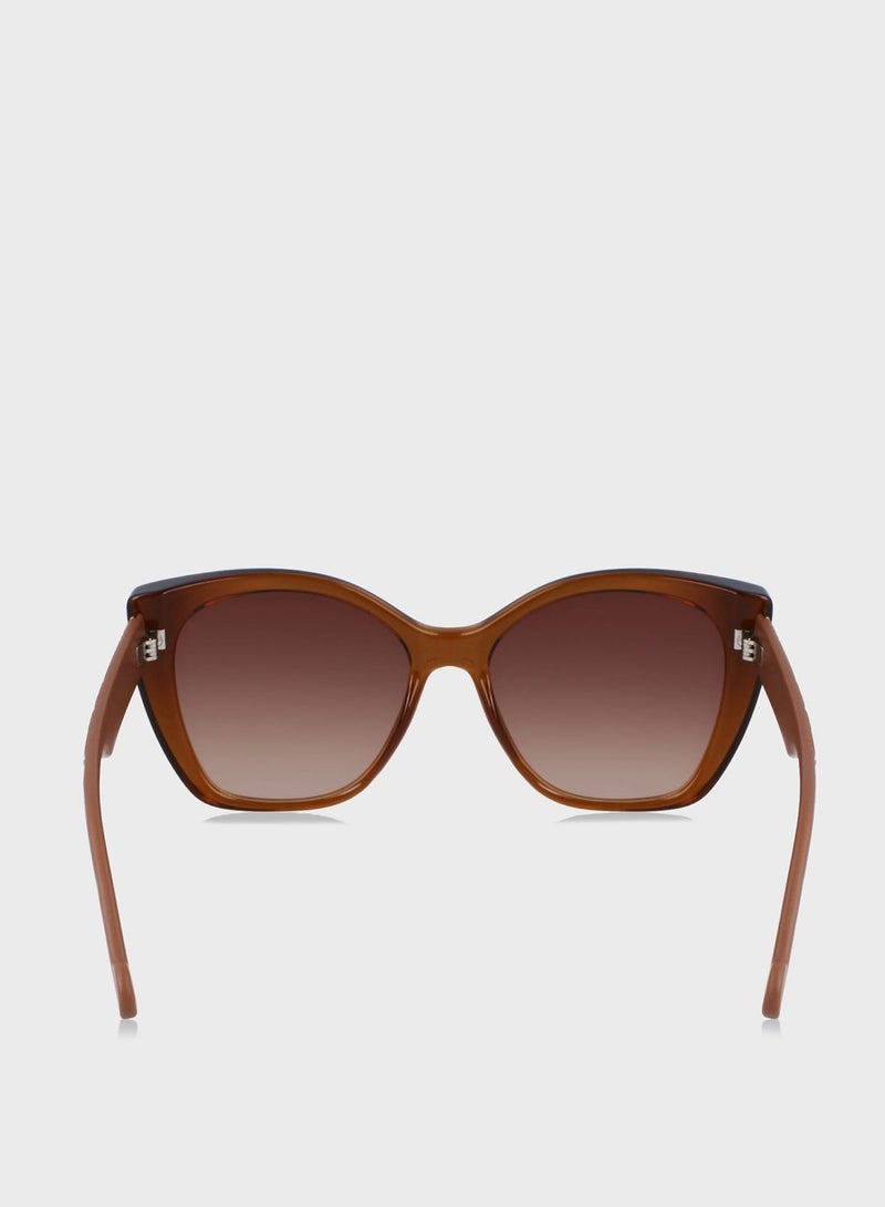 ليو جو نظارة شمسية كبيرة الحجم - Image 4