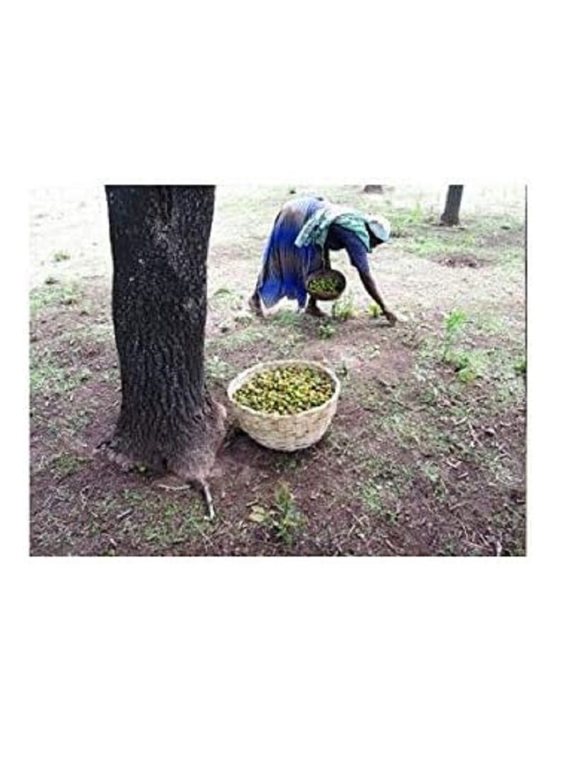 shea butter - African Shea Butter Unrefined Raw Smooth Natural Organic Pure & Premium Grade 250 ML yellow - Image 1