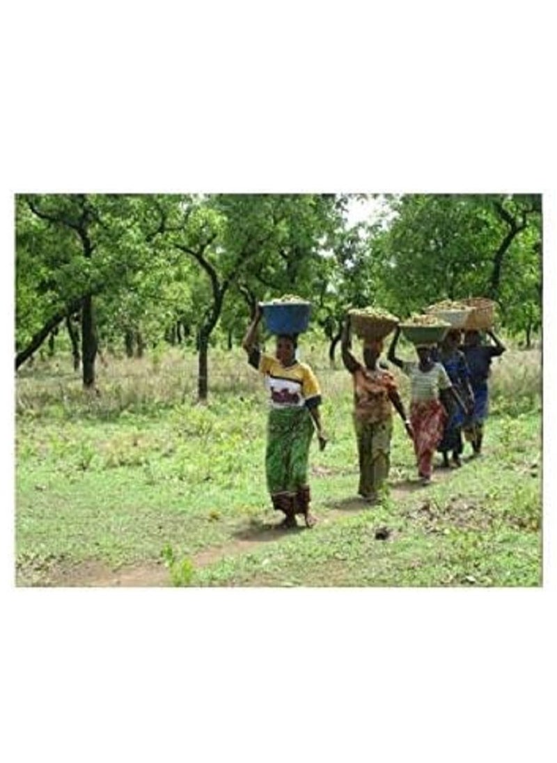 shea butter - African Shea Butter Unrefined Raw Smooth Natural Organic Pure & Premium Grade 250 ML yellow - Image 1