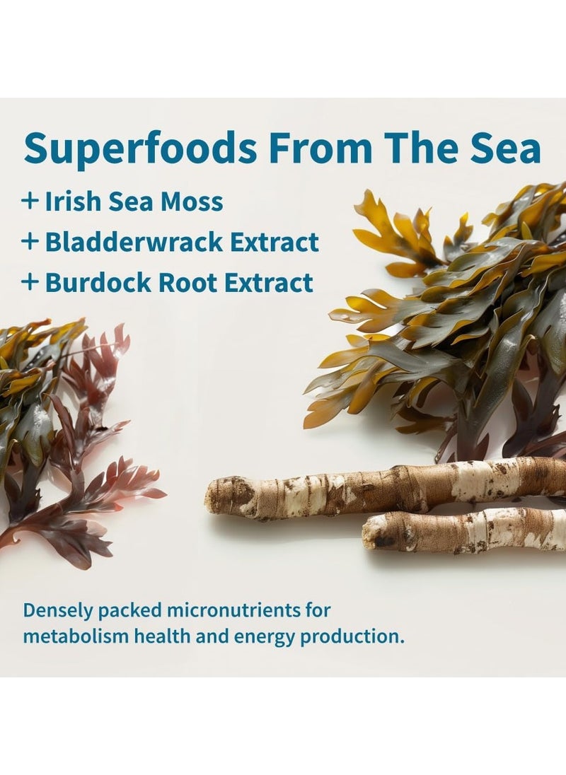 SNAP SUPPLEMENTS - Irish Sea Moss Superfood From Sea With Bladder Wrack Extract Naturally Contains 92 Nutrients 60 Capsules - Image 1